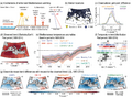 Thumbnail for version as of 16:15, 12 May 2026