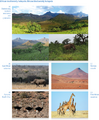 Thumbnail for version as of 16:16, 12 May 2026