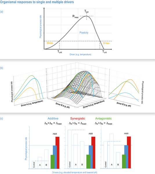 File:F1d297be06dd24667b742d0d2b68b5f9 IPCC AR6 WGII Figure 3 009.png