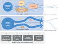 Thumbnail for version as of 16:16, 12 May 2026