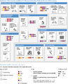 Thumbnail for version as of 16:16, 12 May 2026