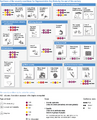 Thumbnail for version as of 16:16, 12 May 2026