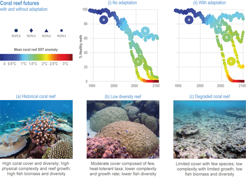 File:1b1407f3efeeed297db173219f1951da IPCC AR6 WGII Figure 3 013.png