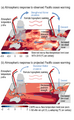 Thumbnail for version as of 16:15, 12 May 2026