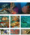 Thumbnail for version as of 16:15, 12 May 2026