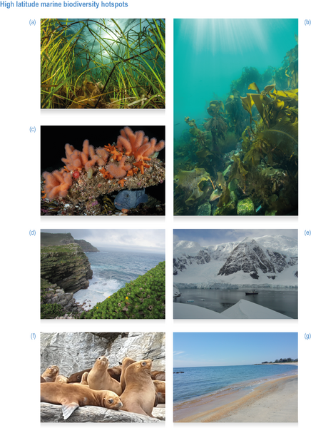 File:1a93016095b44e38aebd92fedd64e46a IPCC AR6 WGII Figure CCP1 013.png
