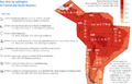 Thumbnail for version as of 16:16, 12 May 2026