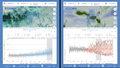 Thumbnail for version as of 16:16, 12 May 2026