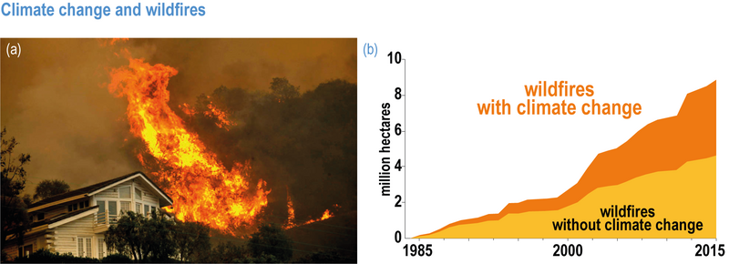 File:747b19ab02cc1ee7a537f308cb1ba94c IPCC AR6 WGII Figure 2 FAQ 2.3.1.png