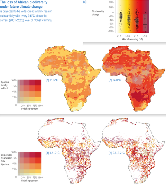 File:D2c9e11f54cfd15d667d0193002e6a07 IPCC AR6 WGII Figure 9 019.png