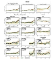 Thumbnail for version as of 16:16, 12 May 2026