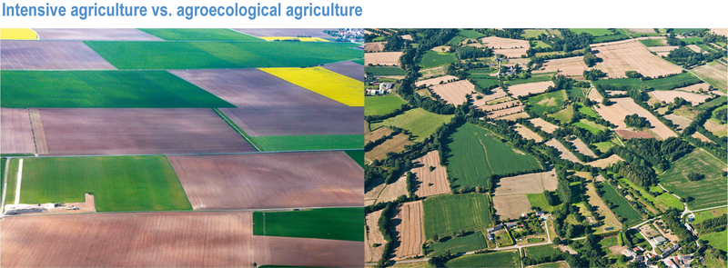 File:6514fb6f53a54d39d32f2d4ba66c3035 IPCC AR6 WGII Figure 5 Cross-Working Group Box BIOECONOMY 1.png