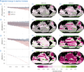 Thumbnail for version as of 16:15, 12 May 2026