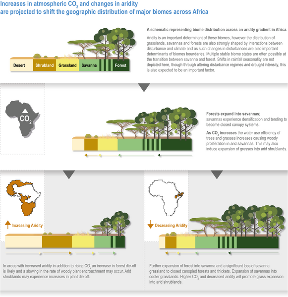 File:2231fbaa13ecb25d4097f6b0d5a9d818 IPCC AR6 WGII Figure 9 018.png